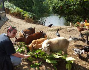 Mini ferme animation enfants animaux camping la Baule