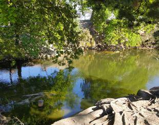 etang de pêche camping escoublac