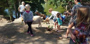 Mini ferme pedagogique etang de pêche camping la baule